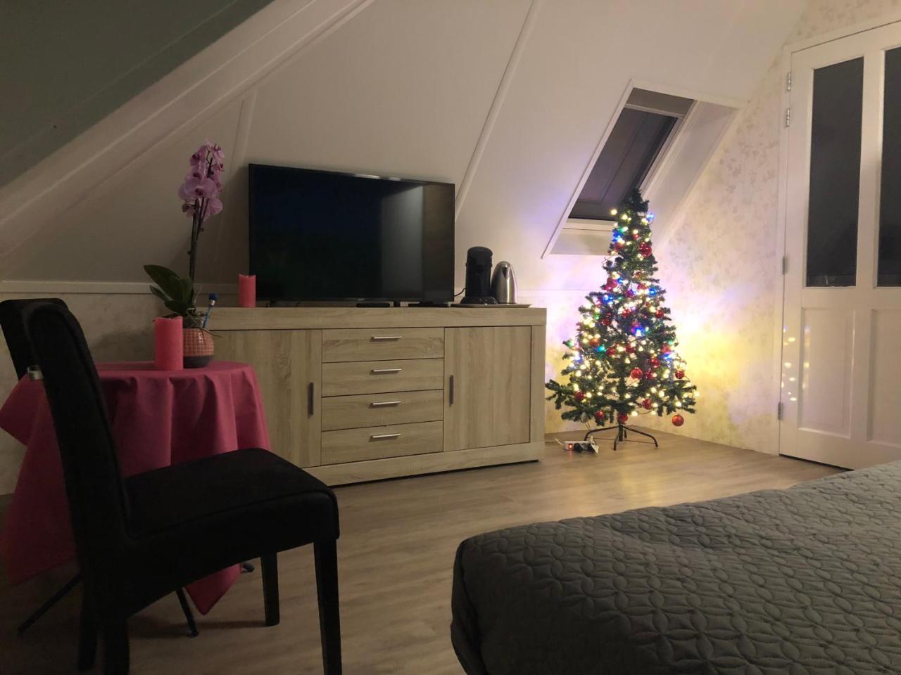 B&B Nancy In Holland 阿尔滕 外观 照片
