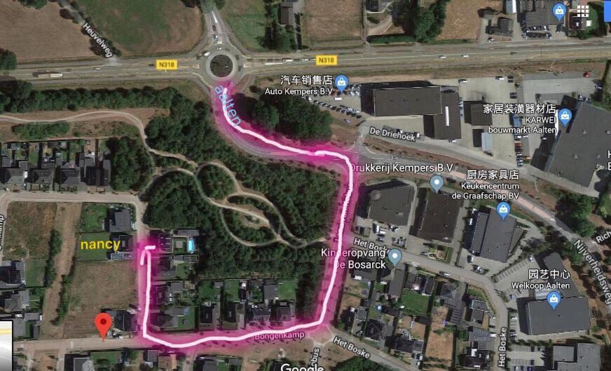 B&B Nancy In Holland 阿尔滕 外观 照片